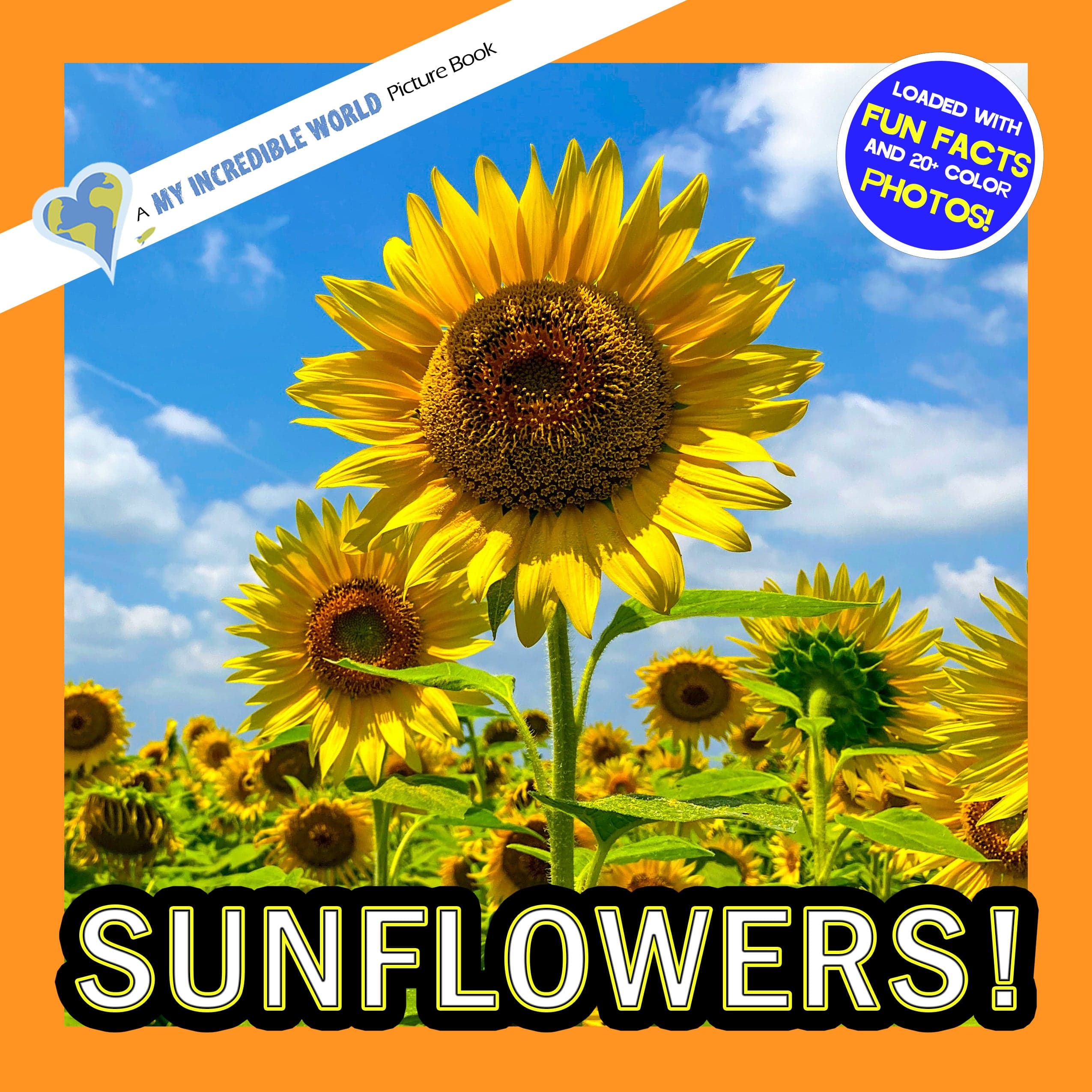 Sunflowers! A My Incredible World Picture Book for Children
